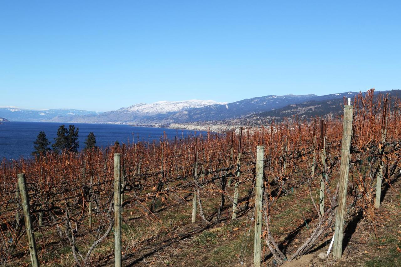 Sunshine And Wine Loft Penticton Exterior foto