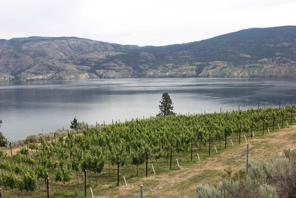 Sunshine And Wine Loft Penticton Exterior foto
